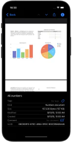 View file details – English