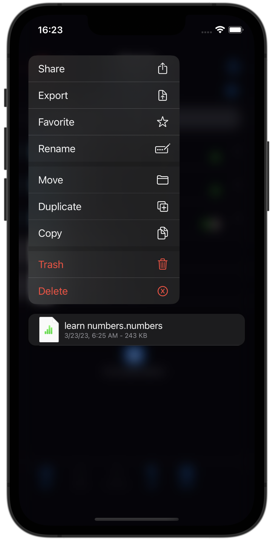 Export or share files from the Safe (iOS)